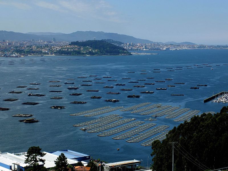 Vista de la Ría de Vigo
